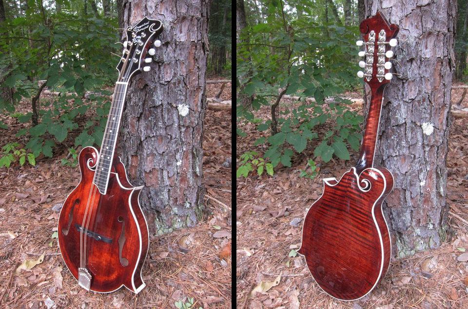 Crystal Forest F5 mandolin #0913-019