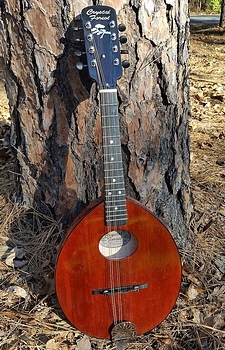 Crystal Forest mandolin
