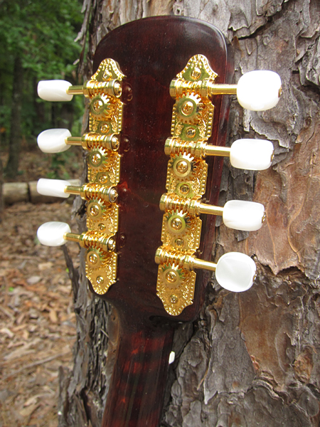 2013 Crystal Forest Mandolin #0701-17