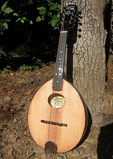 Crystal Forest Army Navy mandolin