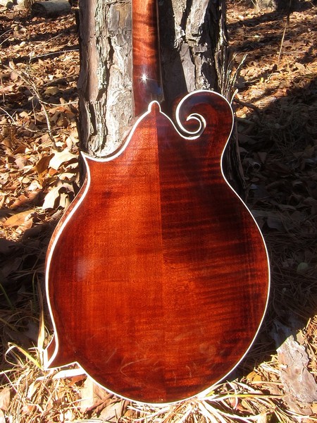 Crystal Forest F5 mandolin #CFF41214-025