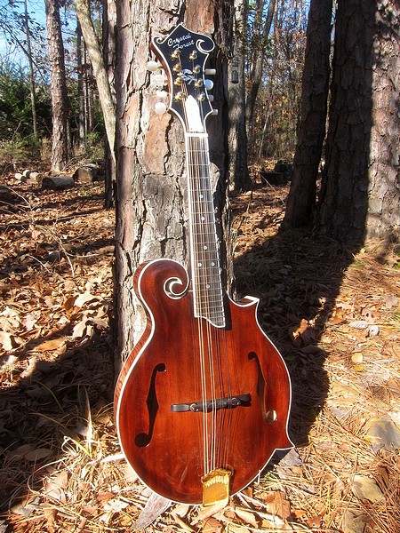 Crystal Forest F5 mandolin #CFF41214-025
