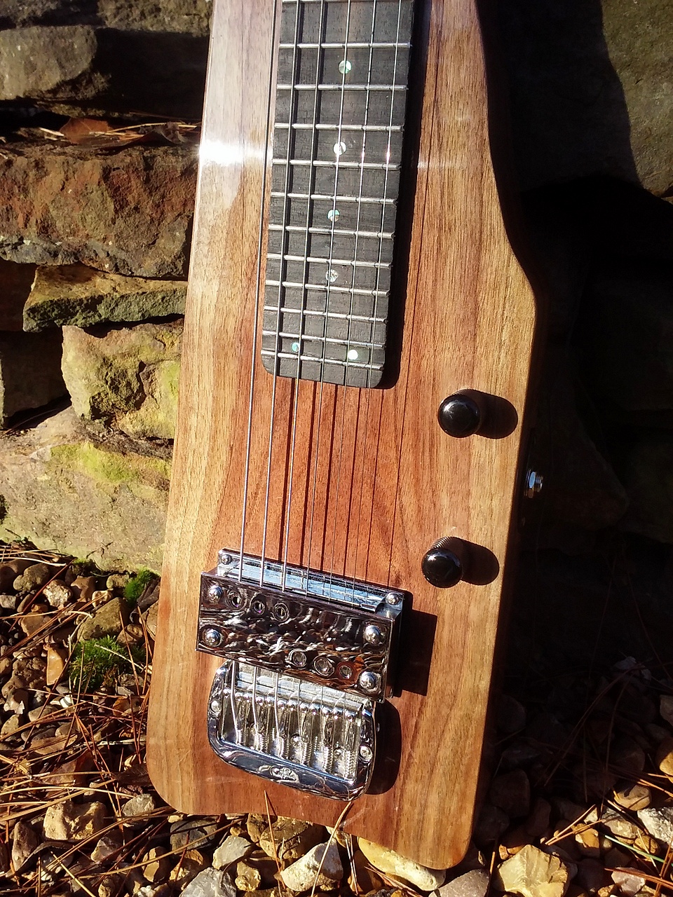 Crystal Forest Lap Steel Guitar