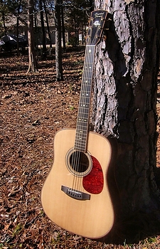 Crystal Forest Steel String Guitar