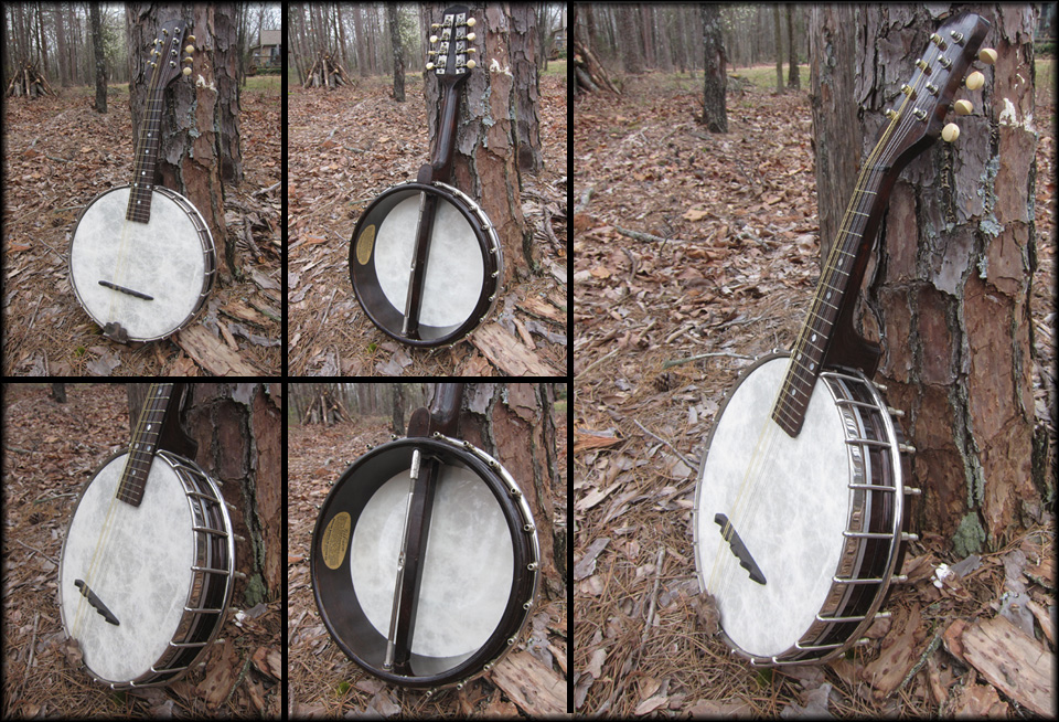 Gibson Mandolin Banjo