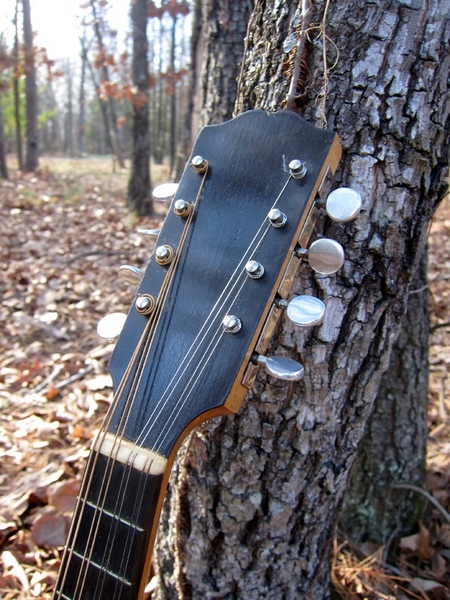 Weymann Keystone State 24 Mandolin Banjo