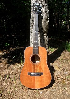 Crystal Forest Baby Dreadnought guitar