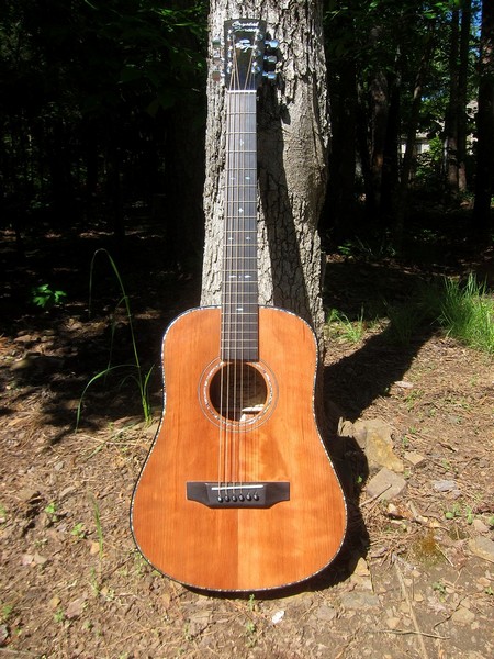 Crystal Forest Baby Dreadnought Guitar